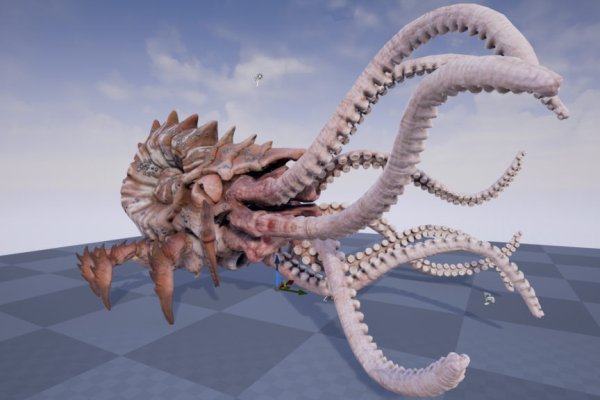 Kraken onion link